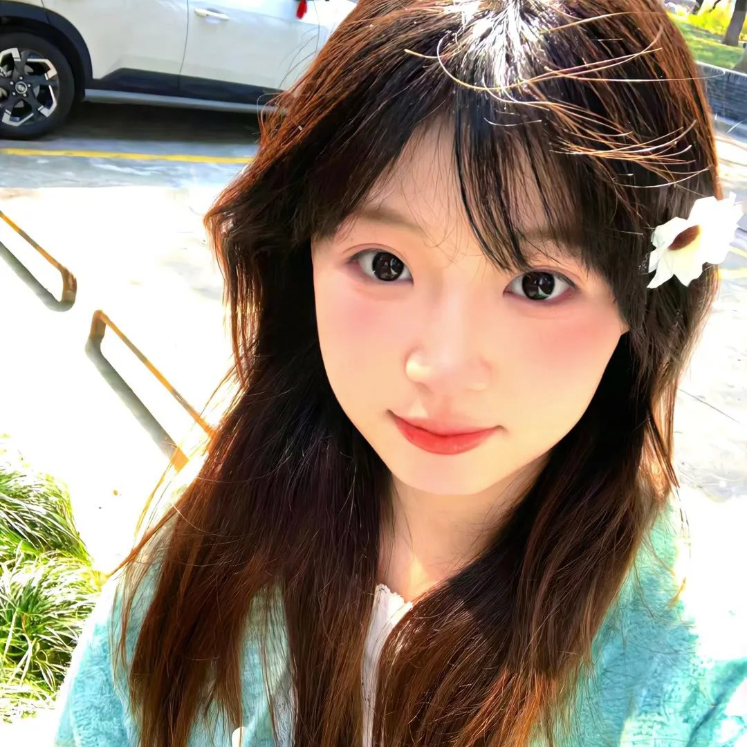 菊石